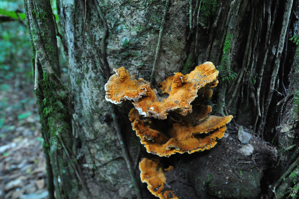 Pousada Do Parque Chapada dos Guimaraes Luaran gambar
